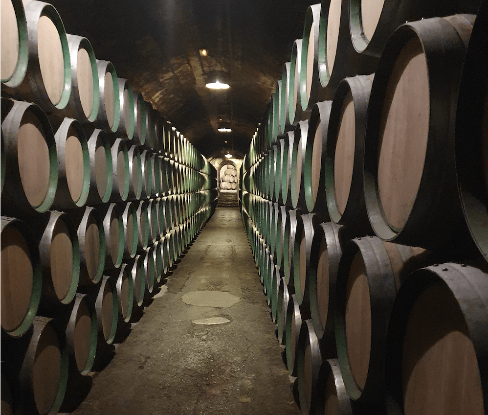 Uno de los múltiples pasillos de la bodega Marqués de Riscal, experta en gestión de barricas, durante la vendimia y a lo largo del año. Foto: Barena.